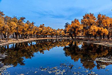 《辐射：伦敦》将是《辐射4》的锦上添花 开发团队想开发一个完整游戏